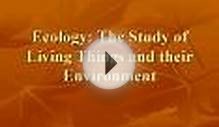 Ecology: The Study of Living Things and their Environment