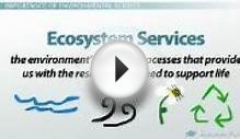 What is Environmental Science? - Definition and Scope of
